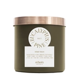 EUCALYPTUS & PINE Средняя свеча в стекле, ECHOES