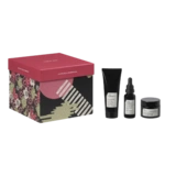 Набор город возрождения - Токио / THE REGENERATION CITY