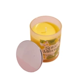 Соевая свеча Spice Mimosa