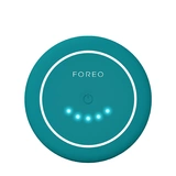 BEAR™ 2 body Evergreen