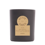 MYSTIC AMBER Компактная свеча в стекле, ECHOES