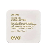 CASSIUS STYLING CLAY [КАССИУС] КОНСТРУИРУЮЩАЯ ГЛИНА 90 МЛ