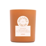 PINEAPPLE DREAM Компактная свеча в стекле, ECHOES