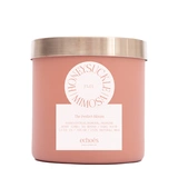 HONEYSUCKLE & MIMOSA Средняя свеча в стекле, ECHOES