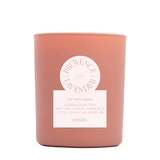 PROVENCE LAVENDER Компактная свеча в стекле, ECHOES
