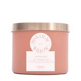 PINK LILAC & WILLOW Большая свеча в стекле, ECHOES