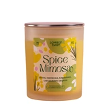 Соевая свеча Spice Mimosa