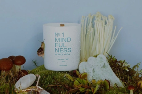 Почему нужно медитировать и как это делать правильно? И как медитация влияет на мозг?