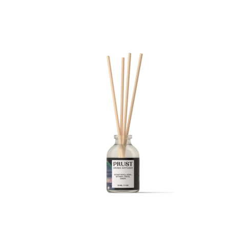 Диффузор PRUST 33 мл / Шторм на Юпитере (белый перец, кожа, ветивер,пихта, амбра)