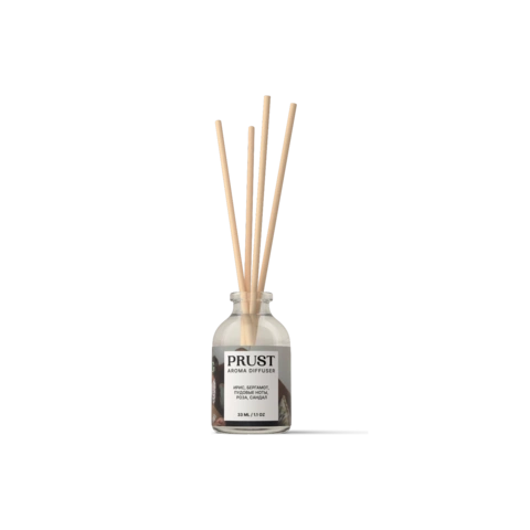 Диффузор PRUST 33 мл / Навещая детство (ирис, бергамот, роза, пудровые ноты, сандал)