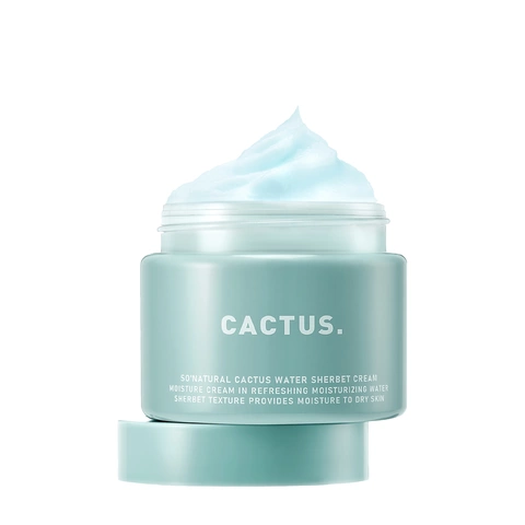 Увлажняющий крем-сорбет для лица с экстрактом кактуса Cactus Water Sherbet Cream