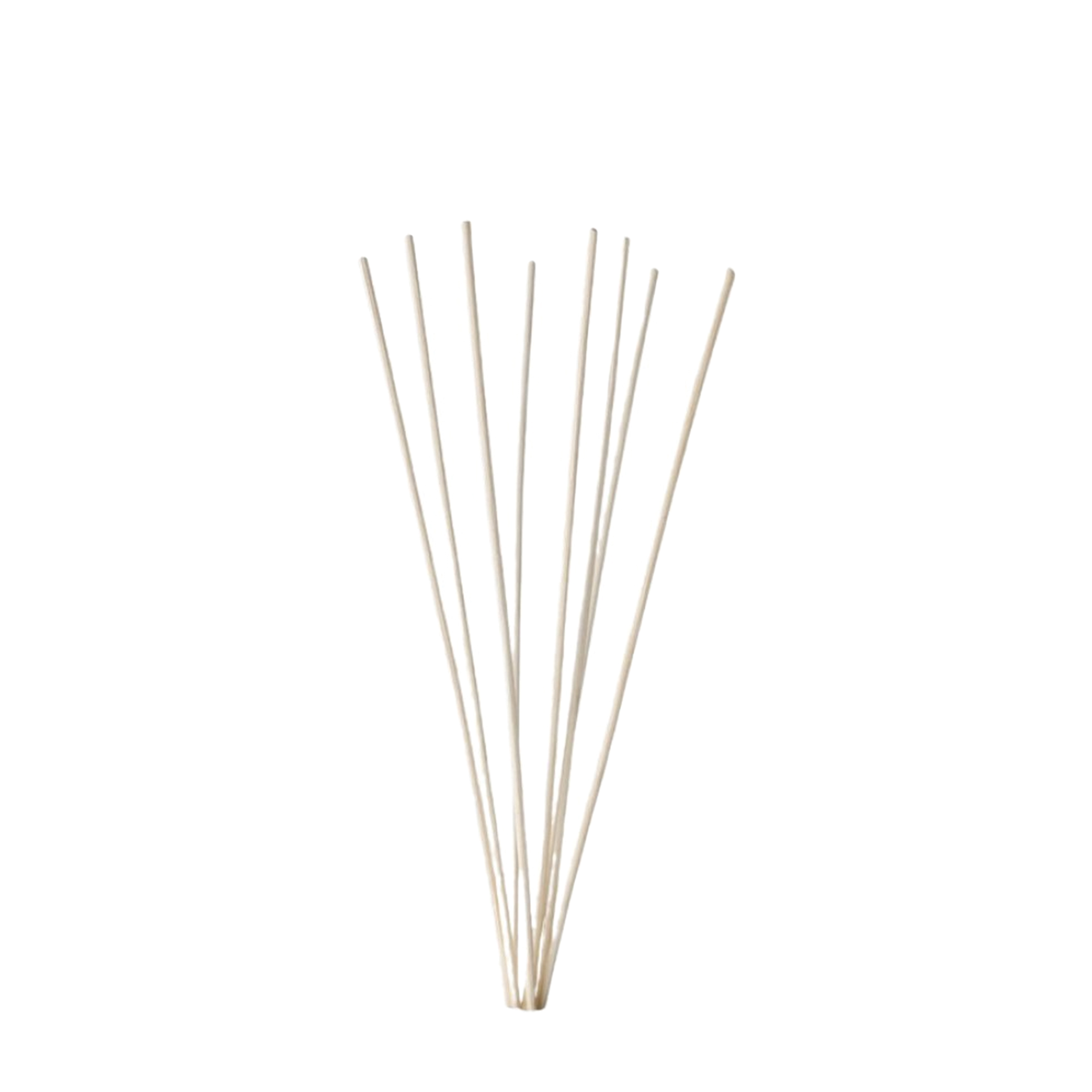 Comfort Zone Comfort Zone Бамбуковые палочки для диффузора Home Fragrance Diffuser Stick Set 10 шт